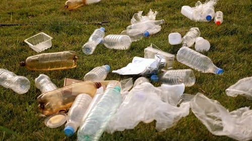 Closeup of Various Plastic Garbage on the Green Grass
