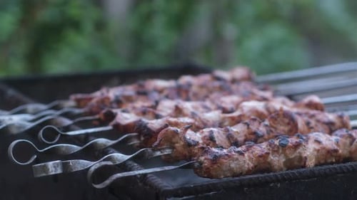 Pork Skewers Cooking on an Outdoor Grill