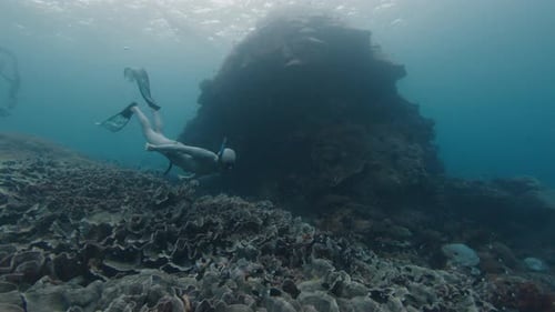 Freediving on a reef. Woman freediver swimming underwater along the reef in the sea