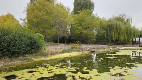árboles coloridos y lago verde en la naturaleza