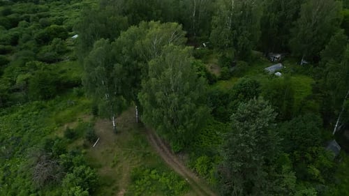 Aerial View of a Lush Forest with a Dirt Path Highlighting Its Natural Beauty and Serene Atmosphere