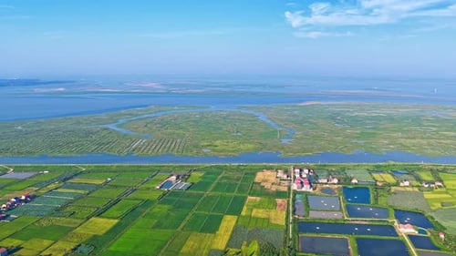 Wetlands rivers Dongting Lake water forest wave tree travel sky shore sea nature
