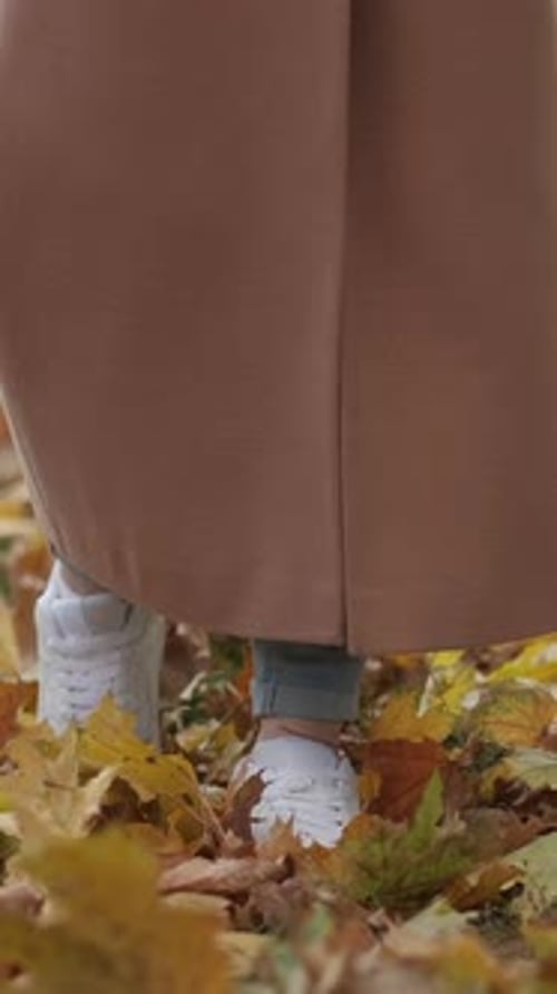 Vertical Romantic Autumn Walking Woman Nature