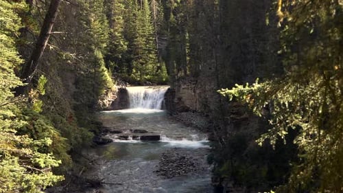 Ein Bach in der Mitte des Waldes, mit einem großen Wasserfall, der im Hintergrund abfällt.