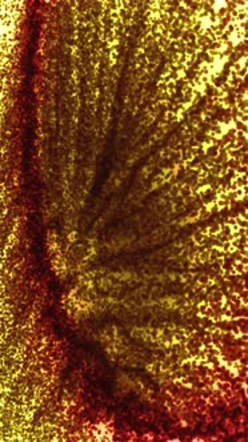 A Very Close Up View of a Red and Yellow Object