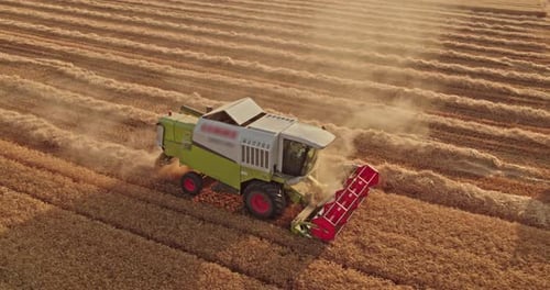 Aerial shot of a combine harvester in action on wheat field.