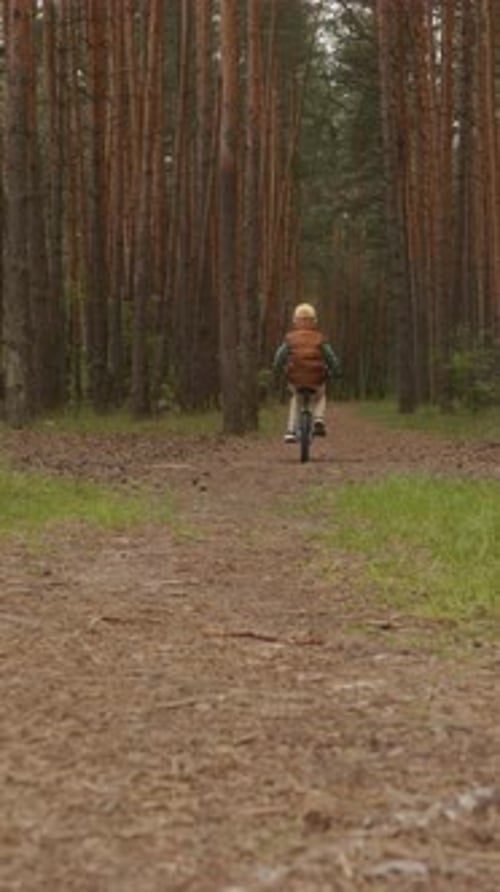 Young Boy Cycling Away Through Forest Trail