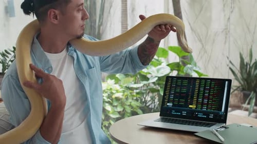 Hombre interactuando con una serpiente albina mientras analiza datos en una computadora portátil