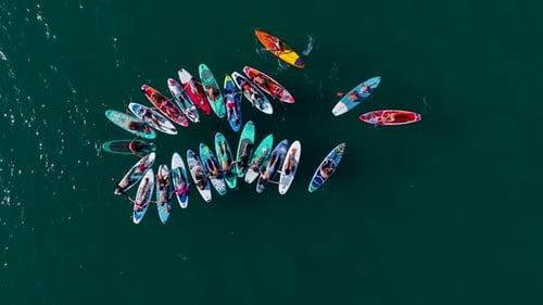 Aerial View Group of People Paddleboarding Together on a Sunny Summer Day