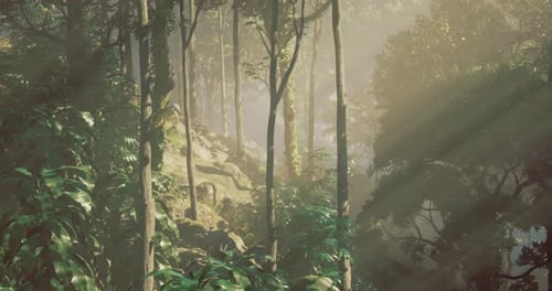 Sunlight Filters Through Lush Foliage in a Serene Forest Setting