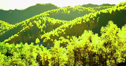 Une végétation luxuriante enveloppe les montagnes sereines sous un soleil radieux de l'après-midi