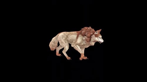 Brown Wolf Walk 2