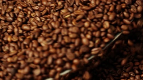 Close up of stirring roasted coffee beans