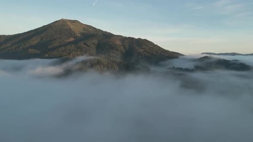 Mountain tops with trees above thick clouds. Peaceful views of mountains, with forests above fog. Sc