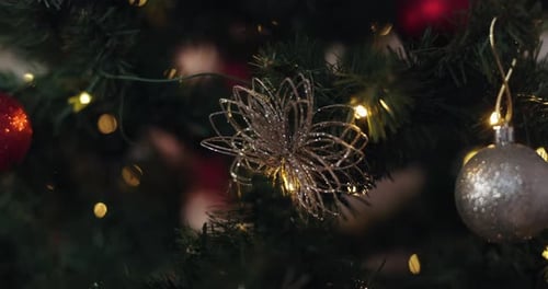 Lights, tree and decoration for Christmas, celebration and holiday aesthetic in house