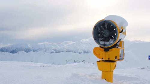 Snow Falcon In Gudauri Ski Resort