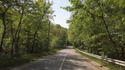 Cozy Car Driving Through the Forest in Eastern Europe