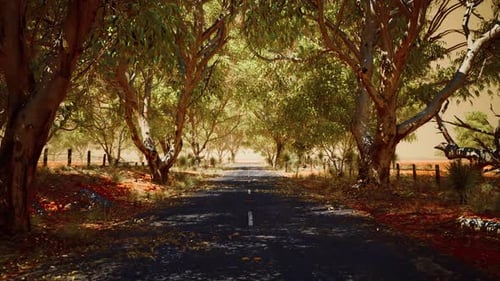 Open Road in Australia with Bush Trees