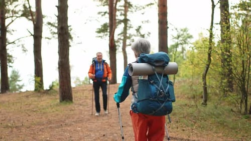 Hiking Tourism Adventure Senior Couple Man Woman Enjoying Outdoor Recreation Hiking in Forest Happy