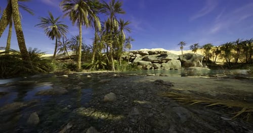 Oasis with Palm Trees and Clear Water Under a Bright Blue Sky in a Desert