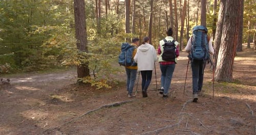 Group of Friends Hiking Together in Autumn Forest