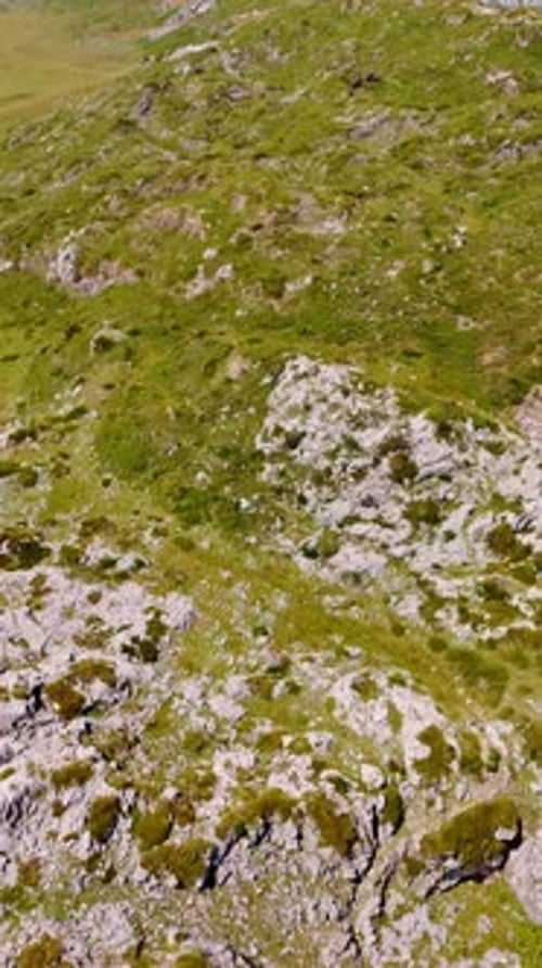 Scenic Lake Surrounded by Green Mountain Hills