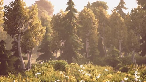 Cartoon Wooded Forest Trees Backlit By Golden Sunlight