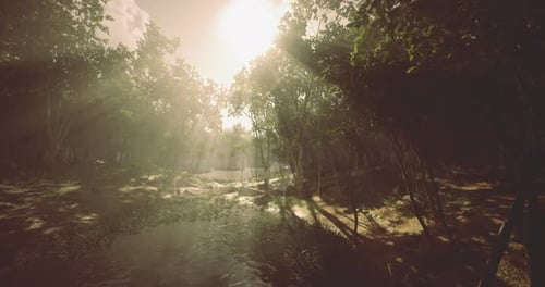 Sunlight Filters Through Trees in a Serene Forest During the Early Morning