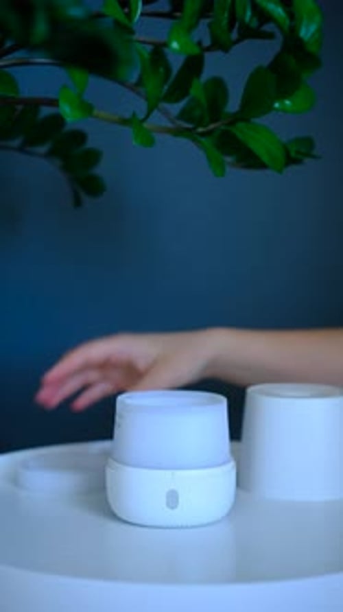 Adding Essential Oils to a Humidifier Indoors