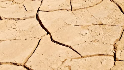 The cracked surface of a dry lake