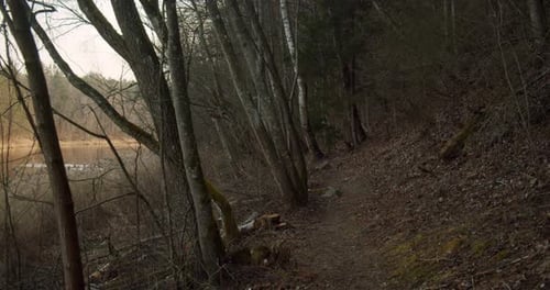 Ein Pfad, der am Abend entlang des Flusses und eines Hügels in den Wald führt