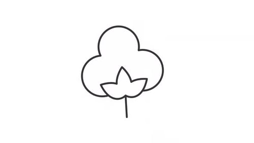 Minimalist Line Cotton Plant Icon Pulse Animation