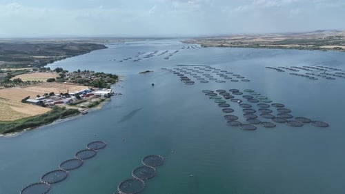 Aerial View Of Fish Ponds In The Dam Lake