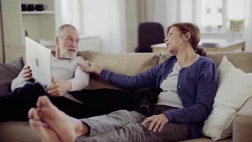 Senior couple relaxing with laptop and dog on sofa