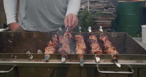 Closeup Fries Meat Skewers Barbecue on Skewers Barbecue Grill Leisure Food People Holidays