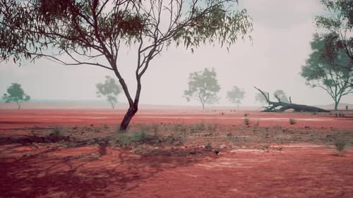 A Scenic View of a Rural Landscape with Trees in a Red Dirt Field