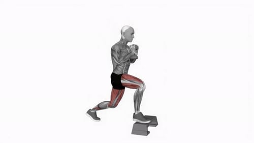Step Up Lunge Exercise with Muscle Anatomy Highlight Animation