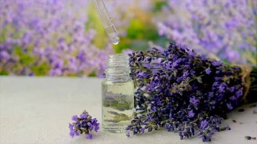 Lavender Essential Oil and Cosmetics