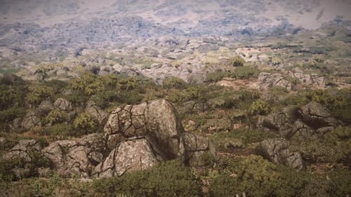 Rocky Landscape with Sparse Vegetation Under a Clear Sky at Midday