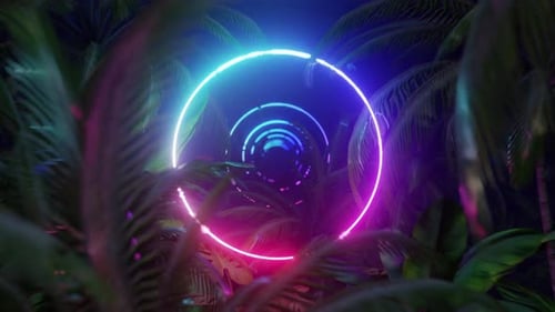 Neonrahmen Im Dschungel 4K