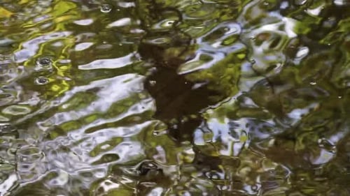 Bubbles float and pop on water with distorted reflections.