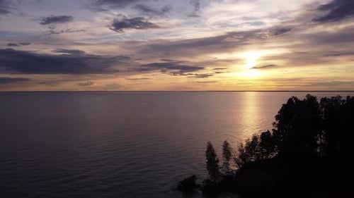 Silhouettes of Trees Against the Background of the Sea and the Setting Sun Aerial Photography of