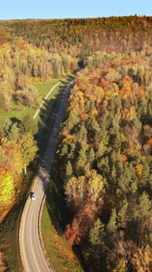 Autumn landscape with winding road through colorful forest in daylight