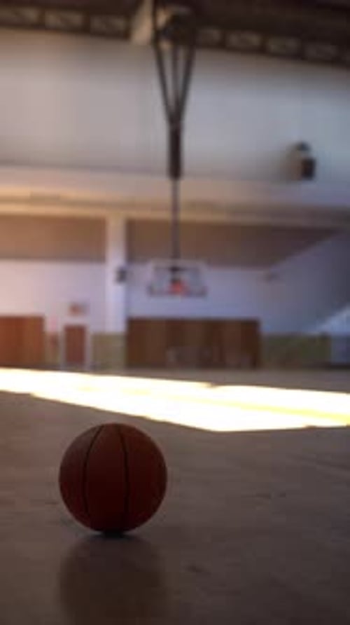 Basketball Resting on Gym Floor