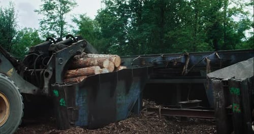 Holzgreifer heben Holzstämme aus dem Lager und transportieren sie zum Holz