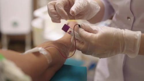 Blood Sample Being Taken by Medical Professional