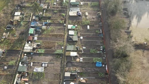Aerial overview of community vegetable garden plots