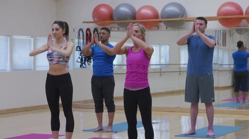 Yoga Class with Diverse Group Doing Tree Pose