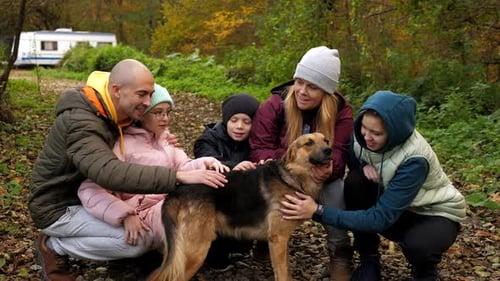 A Family with Three Children are Walking in the Forest and Stroking a Stray Dog