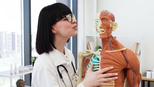 Smiling Woman with Human Anatomy Model in Hospital